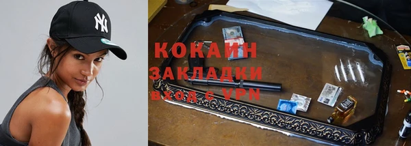 спайс Ладушкин