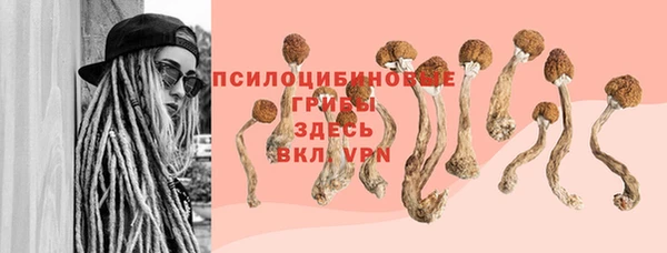 спиды Красноперекопск