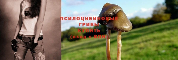 скорость Краснотурьинск
