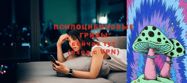 Альфа ПВП Лагань